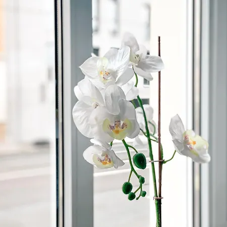 Gemuetliche Fusslaeufig Am Markkleeberger מרקליברג