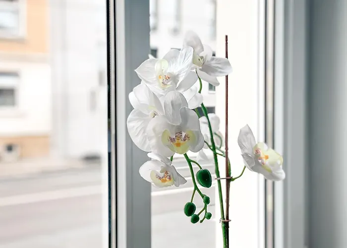 Gemuetliche Fusslaeufig Am Markkleeberger Markkleeberg